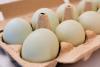 Salmonella outbreak tied to eggs likely from Indiana-based company, investigators say