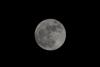 How Dennis Hope Claimed the Moon and Built a Million-Dollar Business