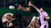 Nations Championship awards: Springboks and Scotland lead the way whilst a tracksuited red card, a shush from the bus and Argentina’s week of hostilities steal the show