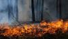 Wildfires in France and Spain force 267,000 to flee as crews continue to battle untamed blazes