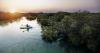 Abu Dhabi launches digital observatory to monitor mangrove rehabilitation