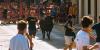 Government allocates €700,000 for Valencia’s bull-running festivals
