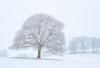 Louisiana Winter Forecast Calls for Cold and Wet Winter Season