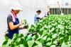 US exempts 2,231 Taiwanese products from new tariffs