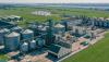 Major vegetable oil producer suspends operations in Odesa region due to security risks