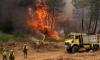 Military sent in to tackle wildfires as 270,000 are forced from homes by blazes across Spain and France and smoke and ash reaches Madrid - with Spanish PM warning of 'complex hours ahead'