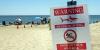 Beachgoers on alert as unprecedented shark sightings plague these popular beaches this summer