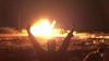 Wider Middle East war? Kuwait, Bahrain targeted Iran this month with UAE's backing