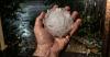 The Town of Cozad Took Softball Hail at 2 a.m. — What Happened There Explains Why Nebraska Leads the Nation for Home Insurance Losses