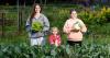 Meet the Dapto kids swapping after-school fast-food shifts for growing and selling veggies