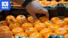Mandarin and orange supply down in SA amid extreme weather
