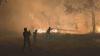 Wildfires force mass evacuations across France, Spain