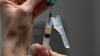 Over 2,300 measles cases recorded in US, worst outbreak in 35 years | What's happening