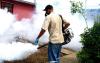 A Joint Operation to Prevent Dengue Fever to Be Conducted by Panama and Costa Rica at the Border