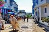 Tunisia’s Sidi Bou Said Wins UNESCO Heritage Status
