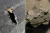Meteorite Crashed into a House. Now, NASA Scientists Say It Contains ‘Extraterrestrial’ Clues to Our Solar System