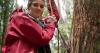 In 2011, an Australian woman climbed 60 meters into a forest tree and refused to touch the ground for 449 days; 170,000 hectares were later protected