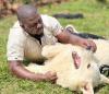From Kamwokya streets to a dog empire: The rise of ‘Uncle Dogs’