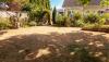 Colorado homeowner replaced a thirsty lawn with a native garden kit and found a water-wise fix