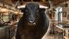 Massive Bull Barge Into Spanish Café, Stares Down Customer, And Gets Casually Escorted Back Outside By Waiter (Video)