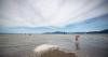 Road along Spanish Banks Beach to close for more than two months