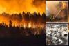 Over 250,000 people forced to flee homes as France and Spain battle raging wildfires