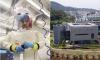 Shame on the cabal of Western scientists who mocked my Covid lab leak theory to protect their own backs - growing evidence suggests I was right: IAN BIRRELL