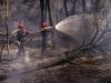 World News | 'Standing Shoulder to Shoulder': Macron Pledges National Recovery as Unprecedented Wildfires Ravage France and Spain