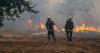 France, Spain battle wildfires as more than 250,000 are forced to flee homes