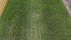 Hungary opens fairy tale themed 4.5-hectare corn maze for visitors to explore