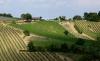 UNESCO world heritage: Vienna's venerable vineyard taverns forced to move with the times