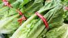 Trump Jokingly Threatens to Impose Tariff on Mexico Due to Lettuce Linked to Cyclospora Outbreak