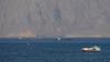 Iran says progress in Oman talks on Hormuz strait management