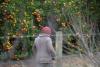 World AFP South Africa's migrant exodus leaves employers short-handed