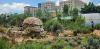 Lessons from South Africa on how parks and community gardens can help cities adapt to climate change