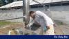 At Amirul's farm, nothing goes to waste