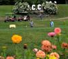 Tee up the rest of summer at western Maine golf courses