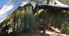 173,000 Illegal Cannabis Plants, 26 Guns Seized in Massive Mendocino County Enforcement Sweep, Says MCSO