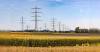 Punjab’s farm power use drops 16% in June despite more tubewells