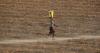 Africa faces massive economic hit from 'super' El Nino
