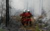 Bordeaux faces evacuation over ‘apocalypse’ wildfires