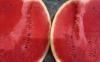 Paraguay Emerges As Regional Watermelon Producer With US$12 Million Revenue