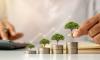 How to invest tax-free: When you should use a pension or an Isa and other tips to beat the taxman