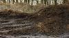 Clay County, Minnesota, wins $2 million to launch a food-waste composting program