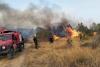 Forest fires sweep through Algeria… 80 fires in one day, most of which have been extinguished