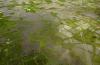 Africa seen facing up to $20bn economic hit from 'super' El Nino