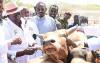 Kenya wins bid to host World Veterinary Congress, set to boost livestock economy