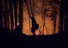 Oregon Faces Critical Fire Risk as 40 MPH Gusts Could Push Wildfires Toward Record Year