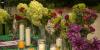 Charlotte locals mourn deaths of two men killed by immigration officials in July