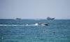 Oil tanker explodes after colliding with mine in Strait of Hormuz, Iranian media reports - as Trump pauses strikes to allow more time for 'diplomacy'
